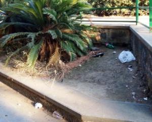 Parco come discarica e strade pericolose: ecco la situazione attuale di Catania