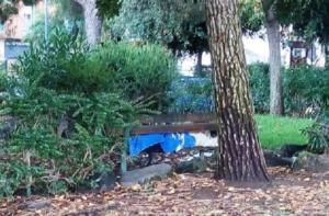 Parco come discarica e strade pericolose: ecco la situazione attuale di Catania
