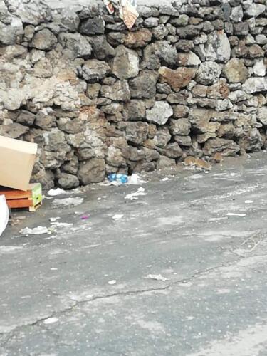 Rifiuti e topi in via Immacolata