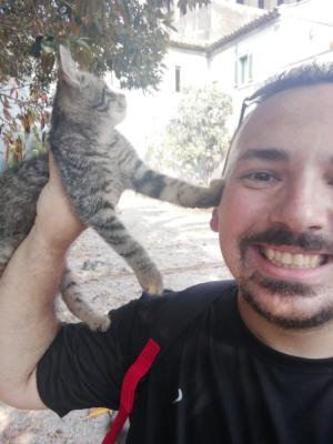 Colonia felina via Curia Catania