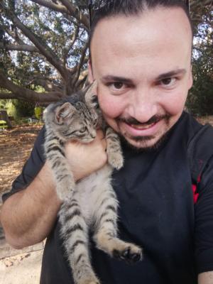 Colonia felina via Curia Catania