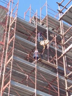 IMG_20181130_094920-2