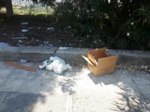 Immondizia via Calipari 1