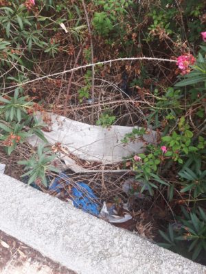 Immondizia via Calipari 6