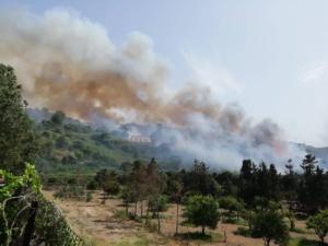 Incendio Agnone Bagni FACEBOOK (11)