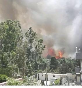 Incendio Agnone Bagni FACEBOOK (2)