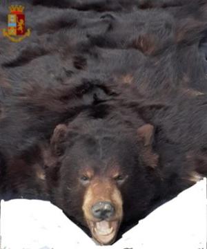 Librino e San Cristoforo 2