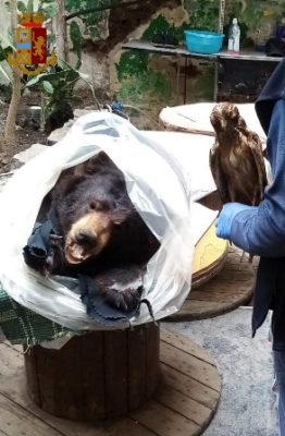 Librino e San Cristoforo 3