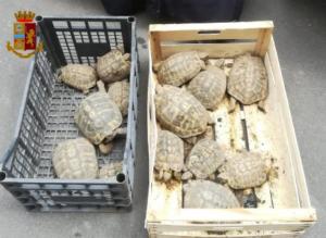 Librino e San Cristoforo 4