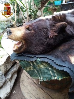 Librino e San Cristoforo 5