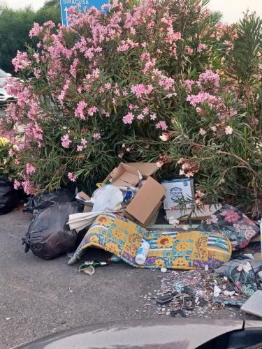 PHOTO-2024-06-26-08-58-56 (2)