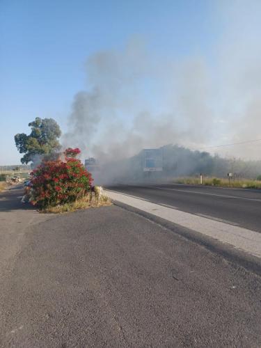 PHOTO-2024-06-26-18-46-32 (1)