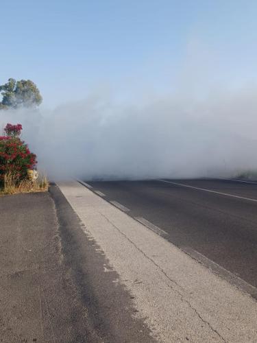 PHOTO-2024-06-26-18-46-36 (3)