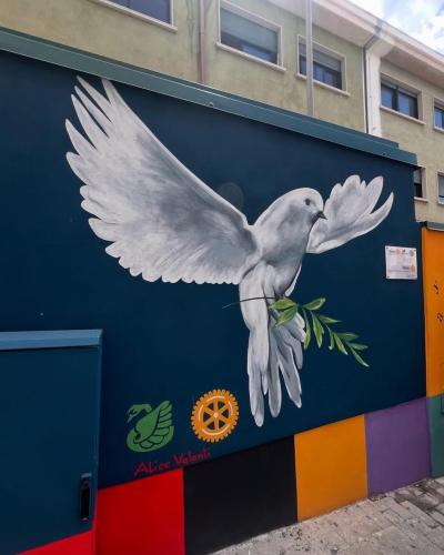 PHOTO-2025-05-20-11-33-45_2