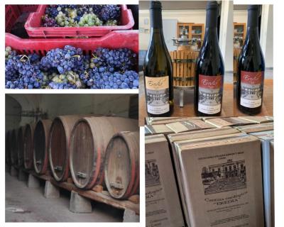 PHOTO-2025-12-12-10-29-50 (4)