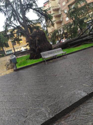 Pioggia Catania 5 ottobre (1)