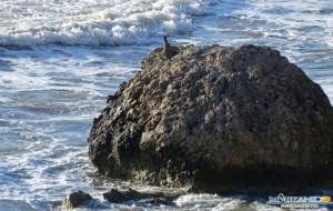 Punta Bianca - Scoglio danneggiato (4)