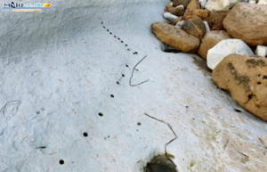 Sfregio Scala dei Turchi (3)