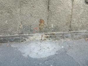 WhatsApp Image 2018-09-19 at 16.05.01 (2)