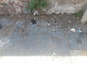 WhatsApp Image 2018-09-19 at 16.05.01 (3)