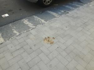 WhatsApp Image 2018-09-19 at 16.05.01