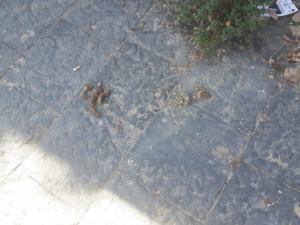 WhatsApp Image 2018-09-19 at 16.05.02 (1)