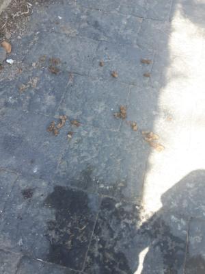 WhatsApp Image 2018-09-19 at 16.05.02 (2)