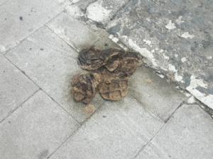 WhatsApp Image 2018-09-19 at 16.05.02 (3)