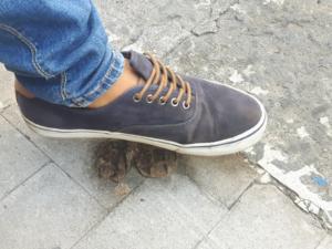 WhatsApp Image 2018-09-19 at 16.05.02 (4)