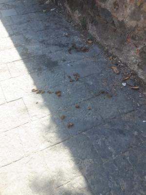 WhatsApp Image 2018-09-19 at 16.05.02