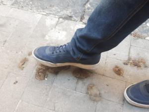 WhatsApp Image 2018-09-19 at 16.05.03