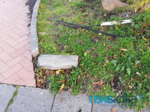 WhatsApp Image 2019-01-14 at 14.29.42 (2)