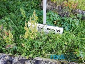 WhatsApp Image 2019-01-14 at 14.29.43