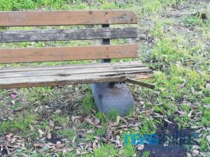 WhatsApp Image 2019-01-14 at 14.29.44