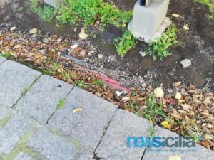 WhatsApp Image 2019-01-14 at 14.29.44 (1)