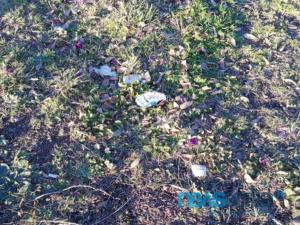 WhatsApp Image 2019-01-14 at 14.29.45 (1)