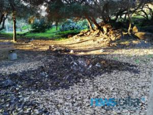 WhatsApp Image 2019-01-14 at 14.29.46 (2)