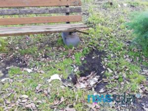 WhatsApp Image 2019-01-14 at 14.29.48 (1)