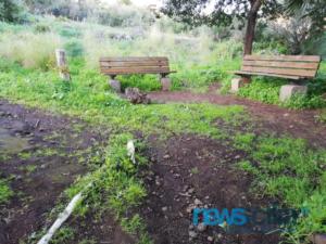 WhatsApp Image 2019-01-15 at 17.00.34 (1)