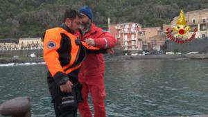 WhatsApp Image 2019-02-25 at 17.07.46 (3)