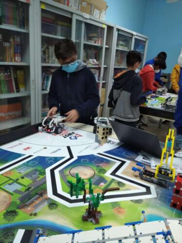 Alcuni momenti di attività robotica