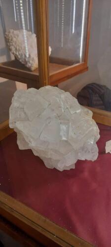 Alcuni momenti dell'evento