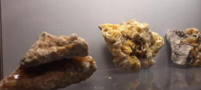 Alcuni momenti dell'evento