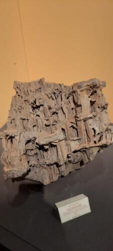 Alcuni momenti dell'evento