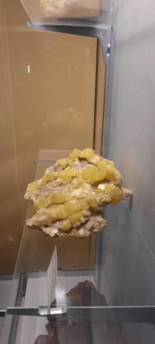 Alcuni momenti dell'evento