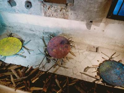 WhatsApp Image 2023-06-19 at 21.23.35 (9)