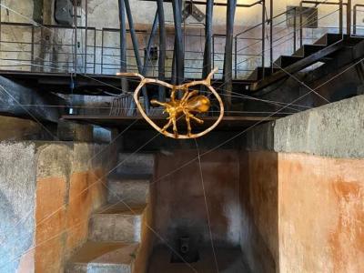 WhatsApp Image 2023-06-19 at 21.23.37 (2)