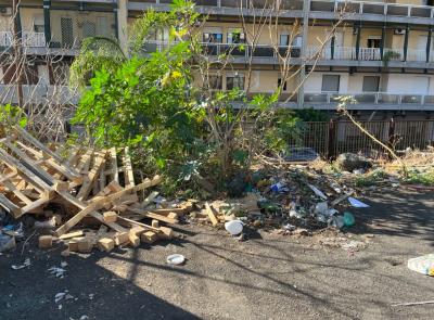 Alcuni scatti dei rifiuti presenti in Piazza Lombardo Radice