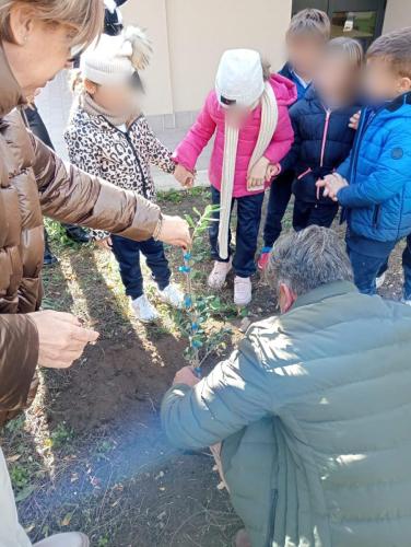 WhatsApp Image 2023-11-28 at 10.11.21 (2)