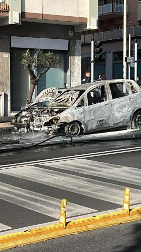 WhatsApp Image 2023-12-01 at 09.50.31